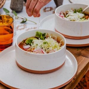 OURPLACE White and Pink Ceramic Large Plates Dinnerware Set Of 2